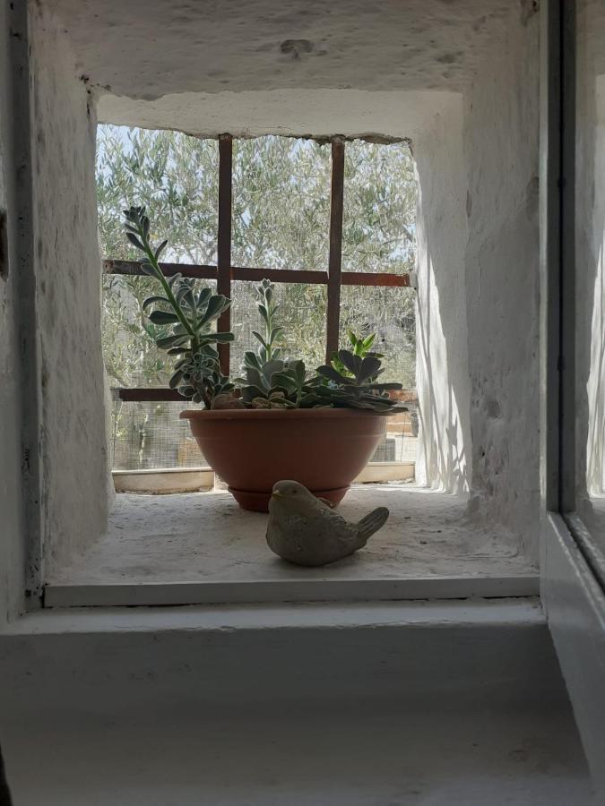 Vila La Mia Dimora Cocolicchio Exteriér fotografie